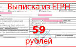 Как получить выписку из ЕГРН за 59 рублей