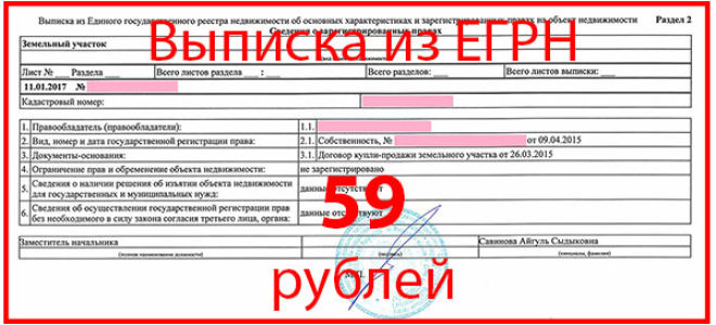 Как получить выписку из ЕГРН за 59 рублей