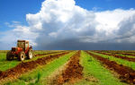 Is it possible to build agricultural land on land and what is allowed?
