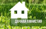 Stages of registration of a house under the dacha amnesty for ownership