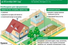 Dacha amnesty program - infographics