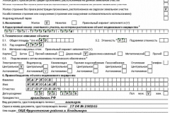 Example of filling out the declaration form 1