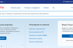 government services website
